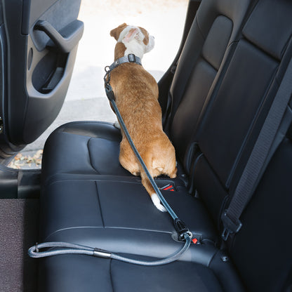 Adventure Series: TrailMaster Leash