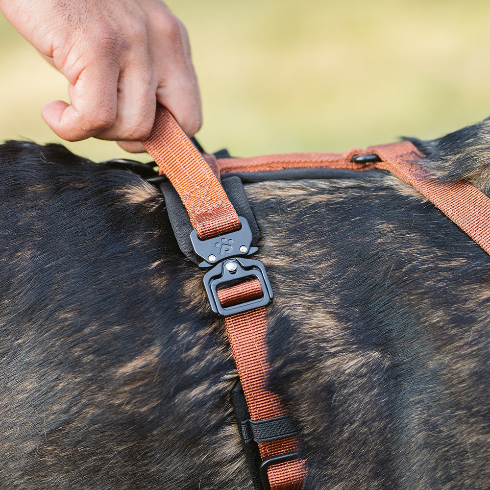 Adventure Series: TrailBlaze Harness