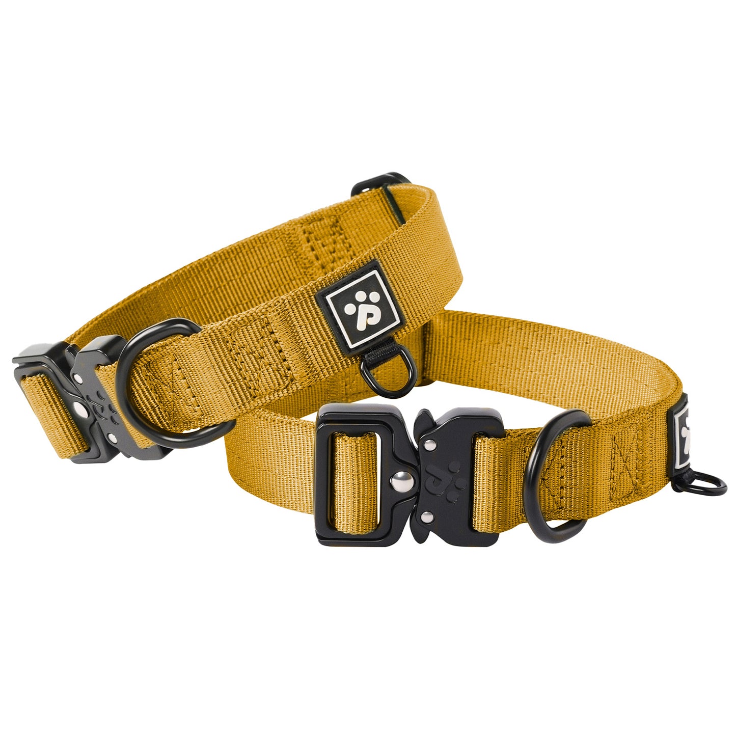 Adventure Series: TrailBlazer Collars