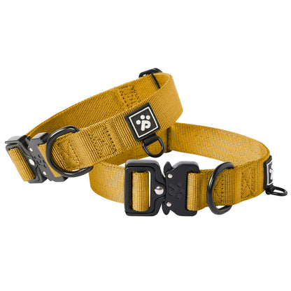 Adventure Series: TrailBlazer Collars