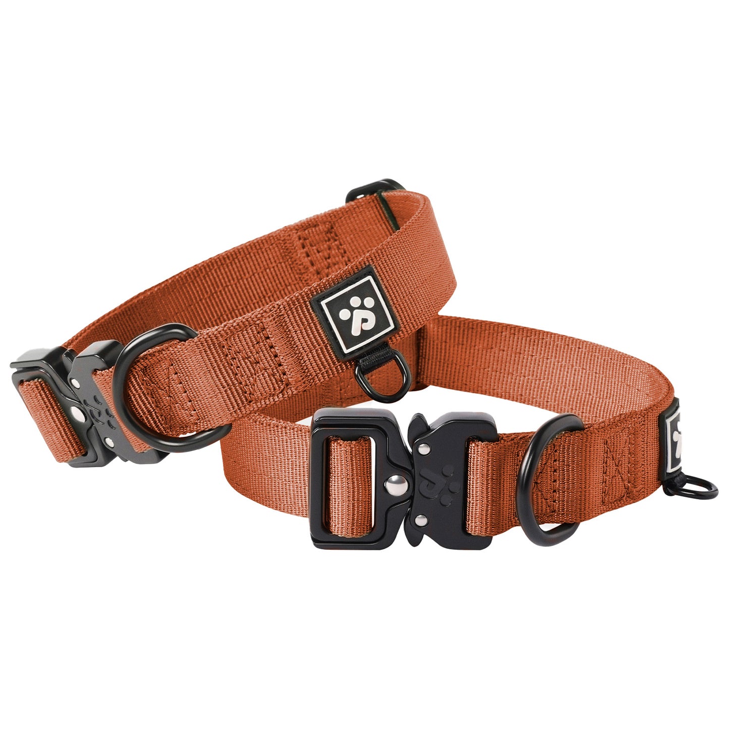 Adventure Series: TrailBlazer Collars