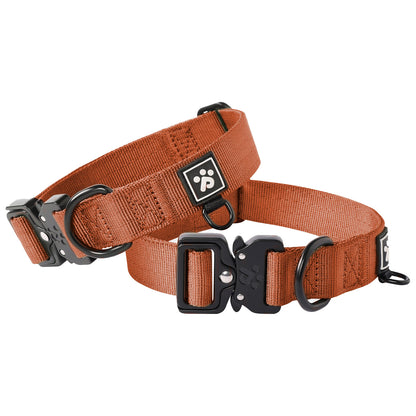 Adventure Series: TrailBlazer Collars