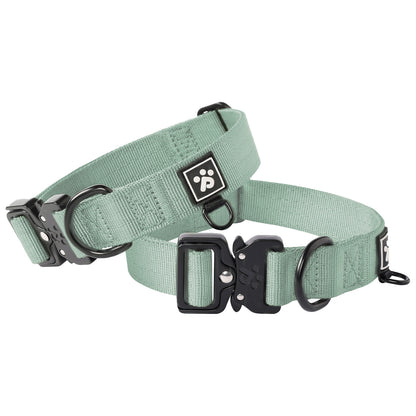 Adventure Series: TrailBlazer Collars