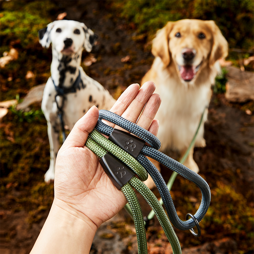 Adventure Series: TrailMaster Leash