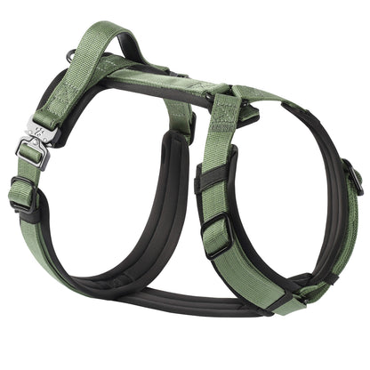 Adventure Series: TrailBlaze Harness