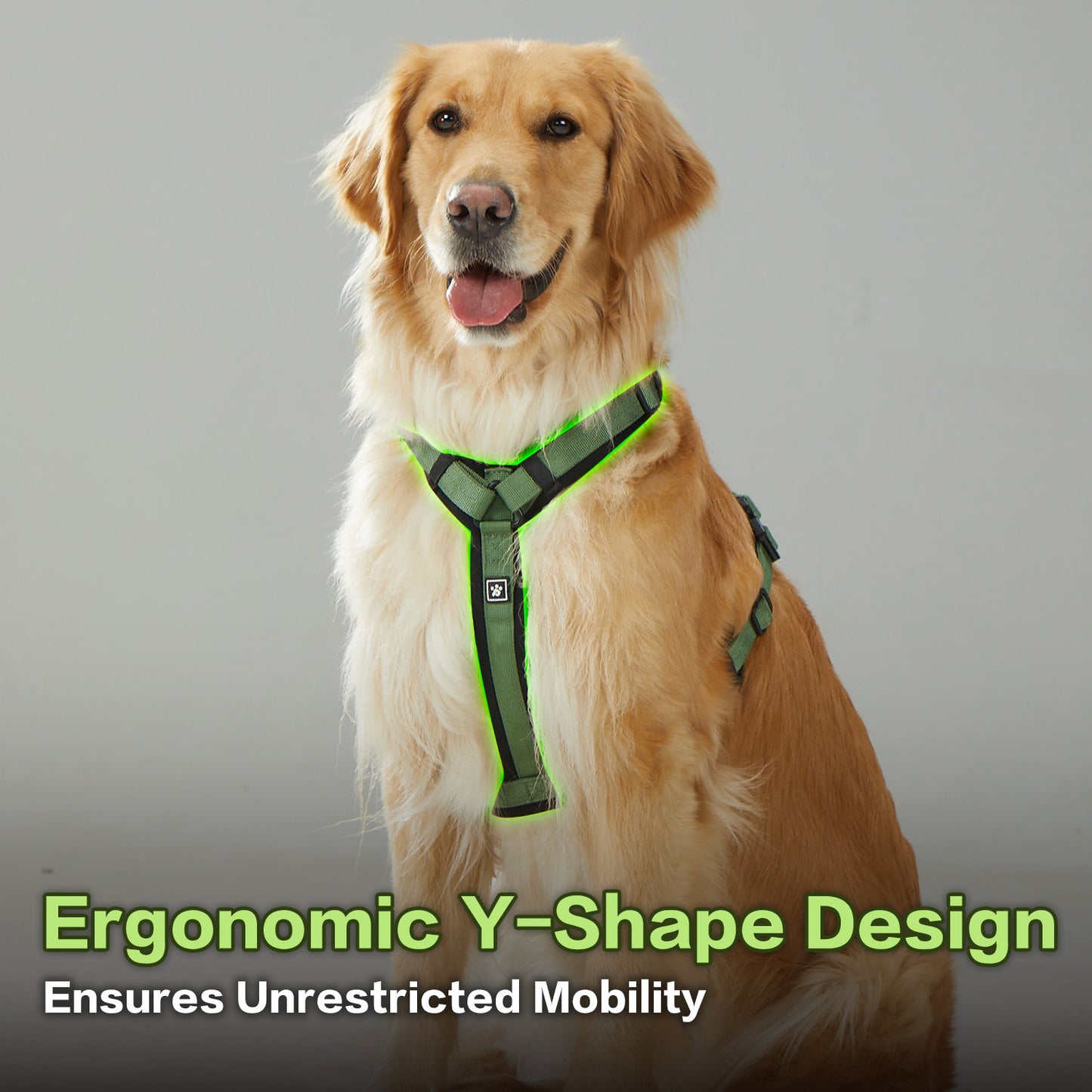 Adventure Series: TrailBlaze Harness