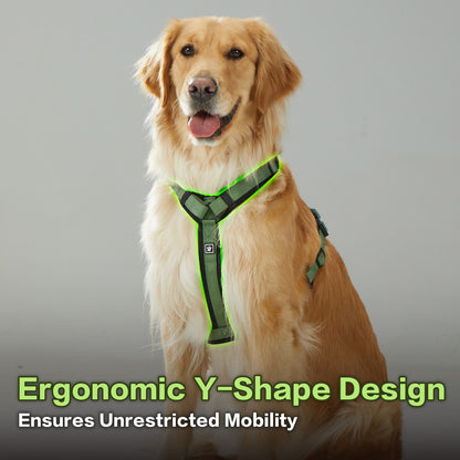 Adventure Series: TrailBlaze Harness