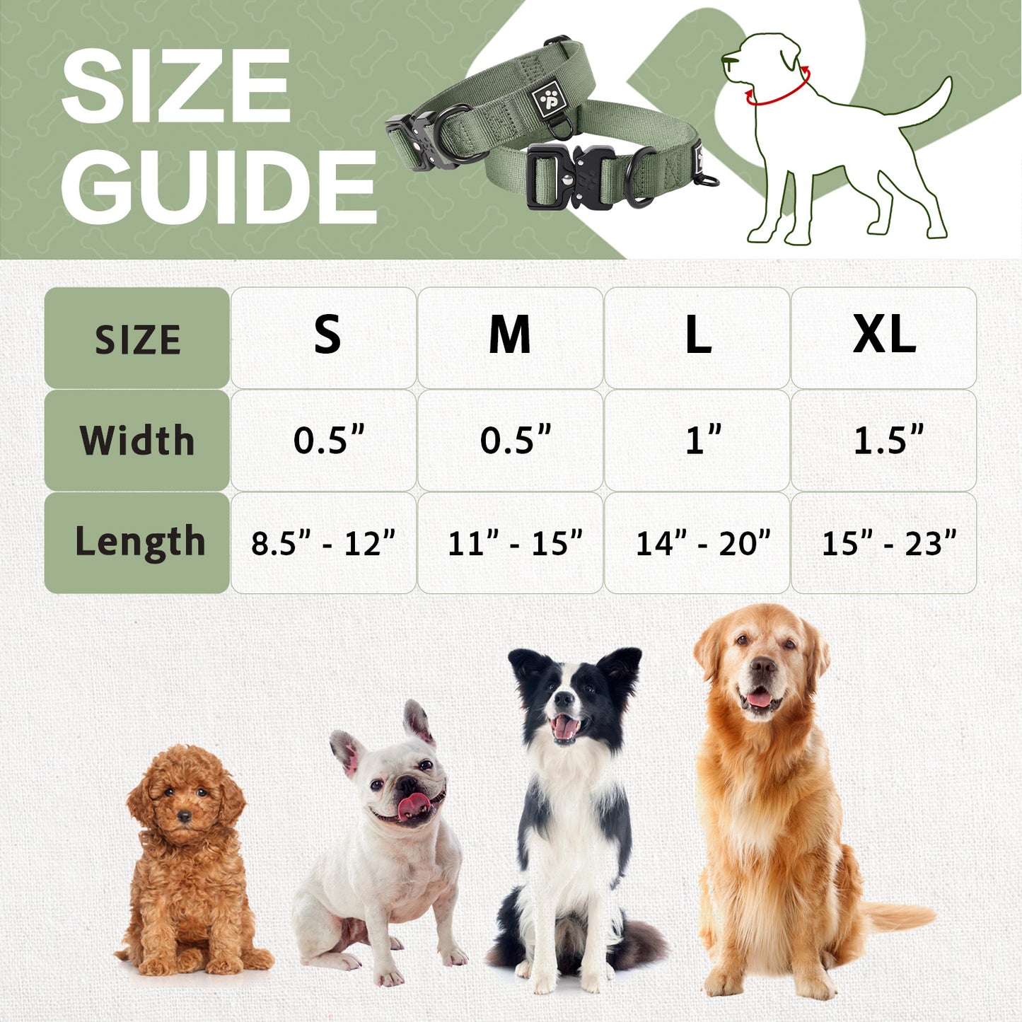 Adventure Series: TrailBlazer Collars