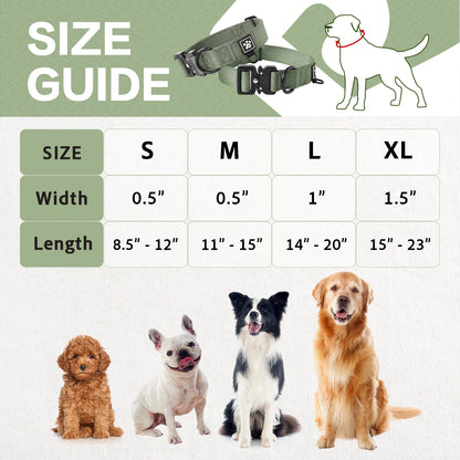 Adventure Series: TrailBlazer Collars