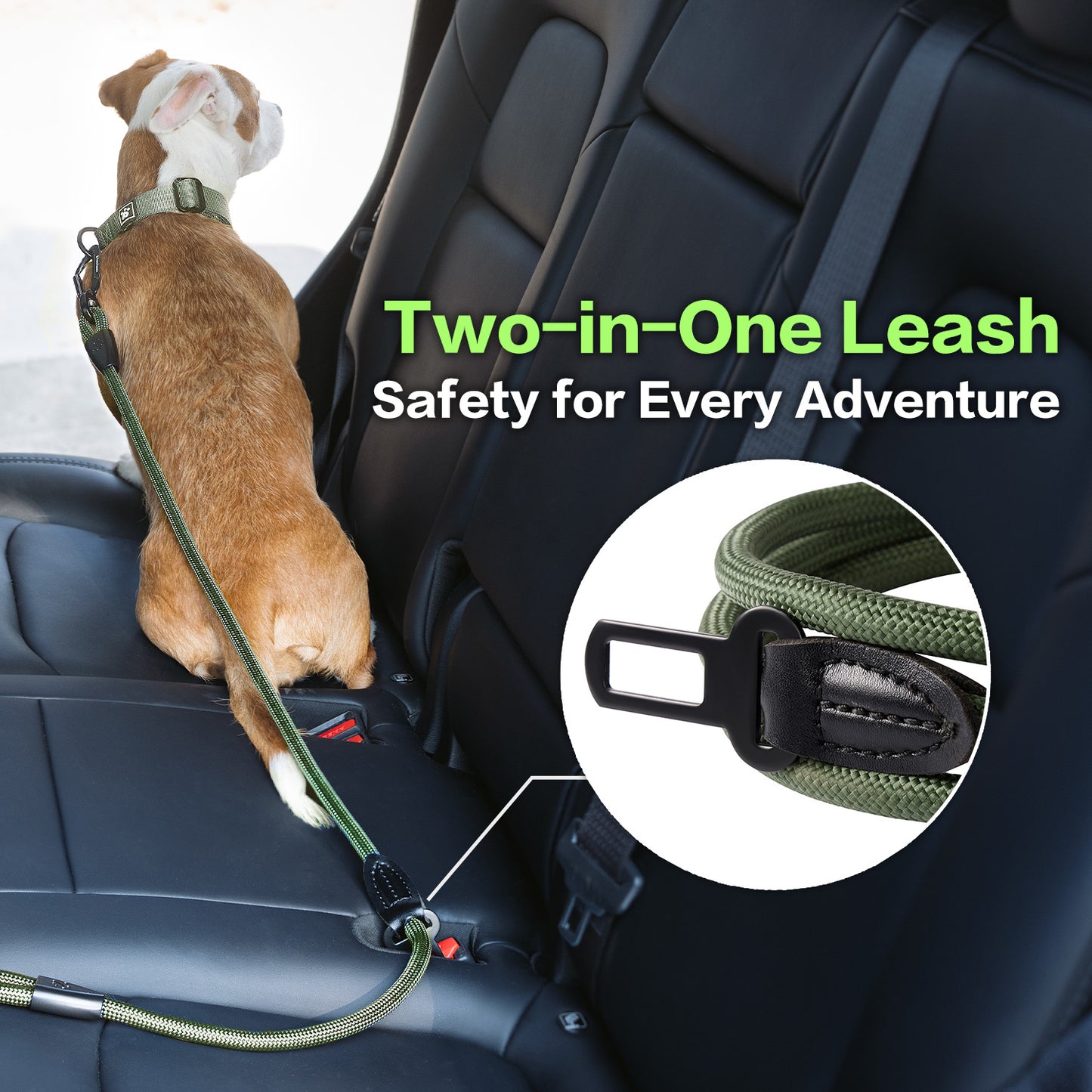 Adventure Series: TrailMaster Leash