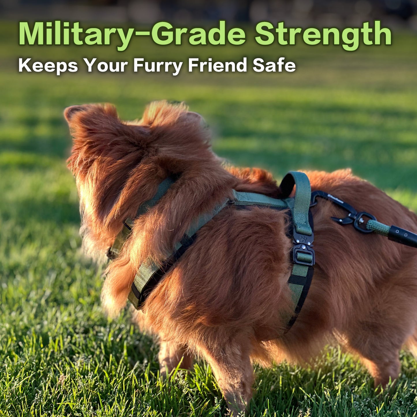 Adventure Series: TrailBlaze Harness