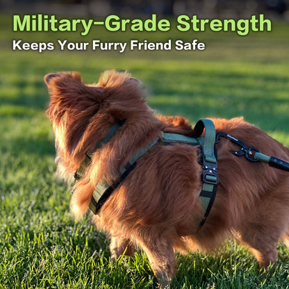 Adventure Series: TrailBlaze Harness