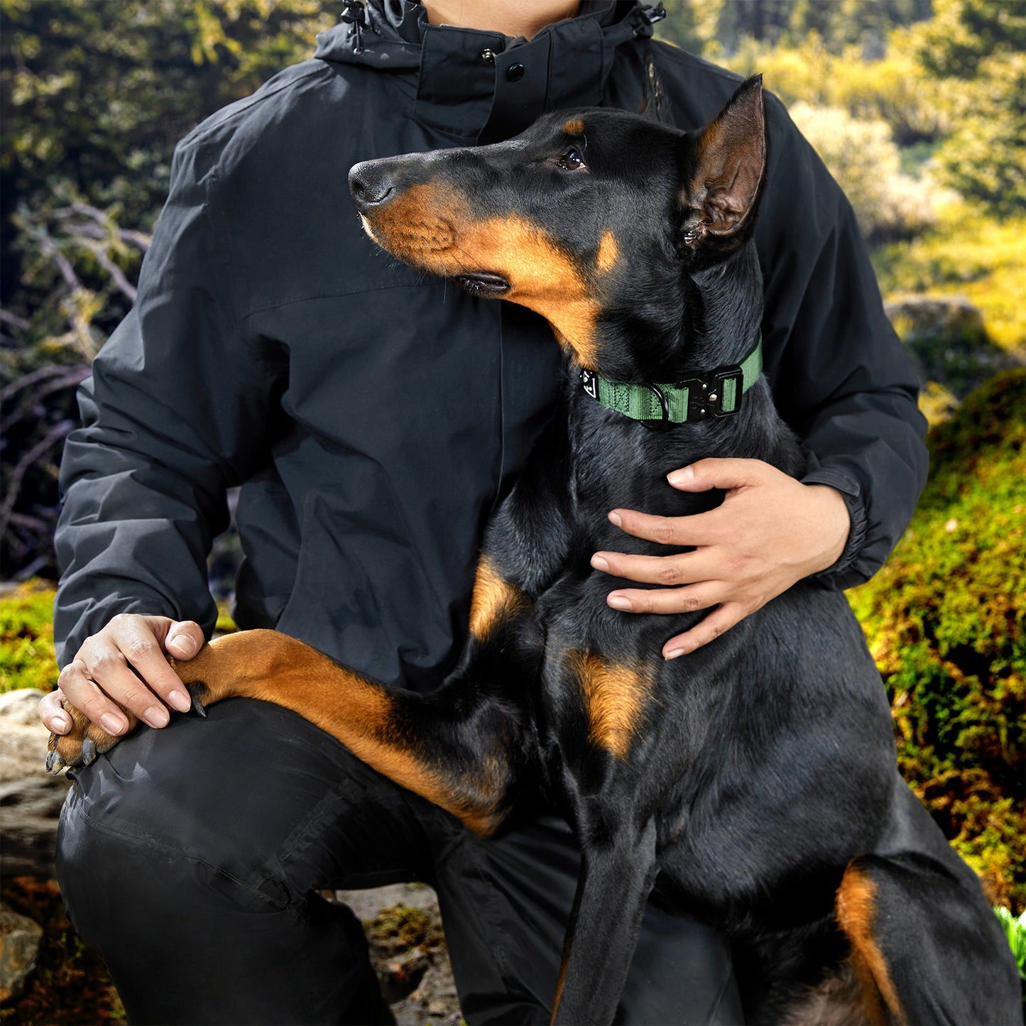 Adventure Series: TrailBlazer Collars