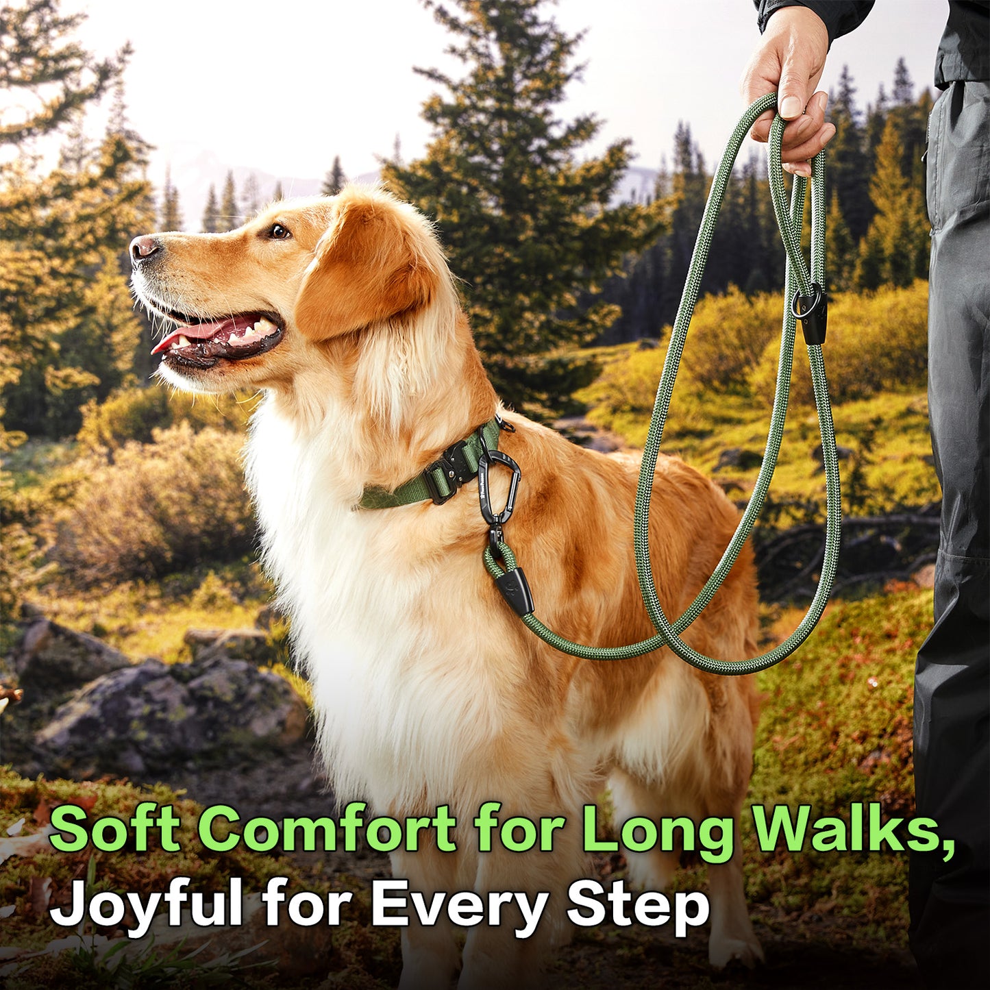 Adventure Series: TrailMaster Leash