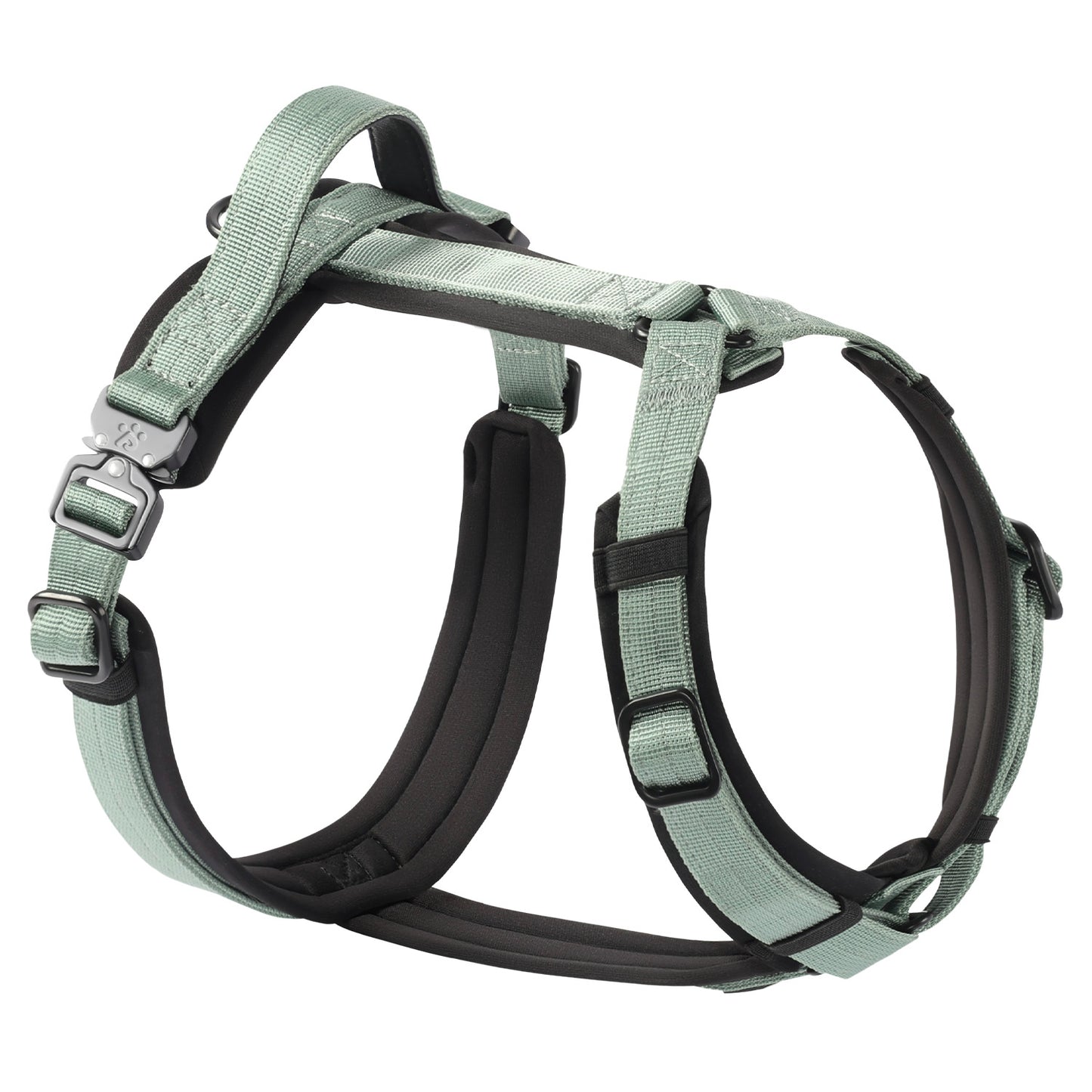 Adventure Series: TrailBlaze Harness