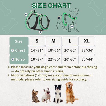 Adventure Series: TrailBlaze Harness