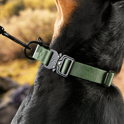 Adventure Series: TrailBlazer Collars