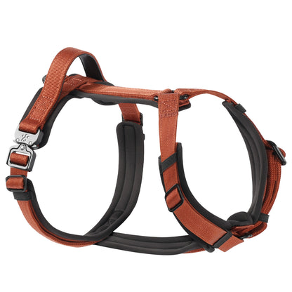 Adventure Series: TrailBlaze Harness